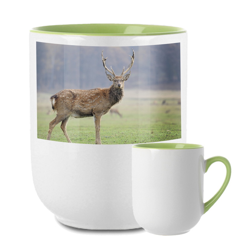 Zweifarbtasse Sofia - Lightgreen